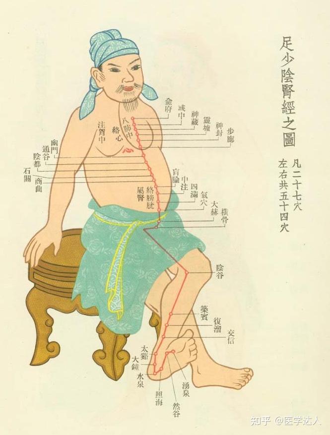 黄帝内经 素问·阴阳别论篇第七详细阐释 - 知乎