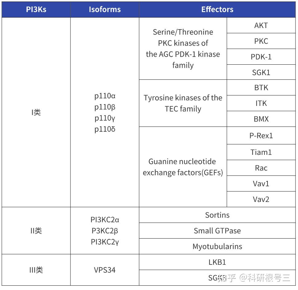 PI3K-Akt信号通路深度解读：激活/组成/通路串联/通路检测…… - 知乎