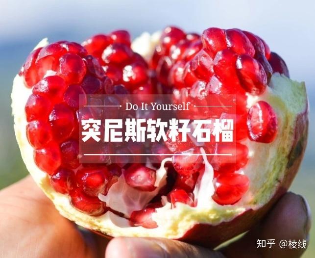 石榴 四川攀枝花突尼斯软籽石榴- 知乎