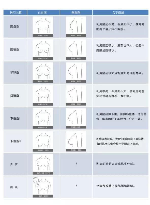 女性的胸型有几种正面看比如有些人是外扩的有些翘起