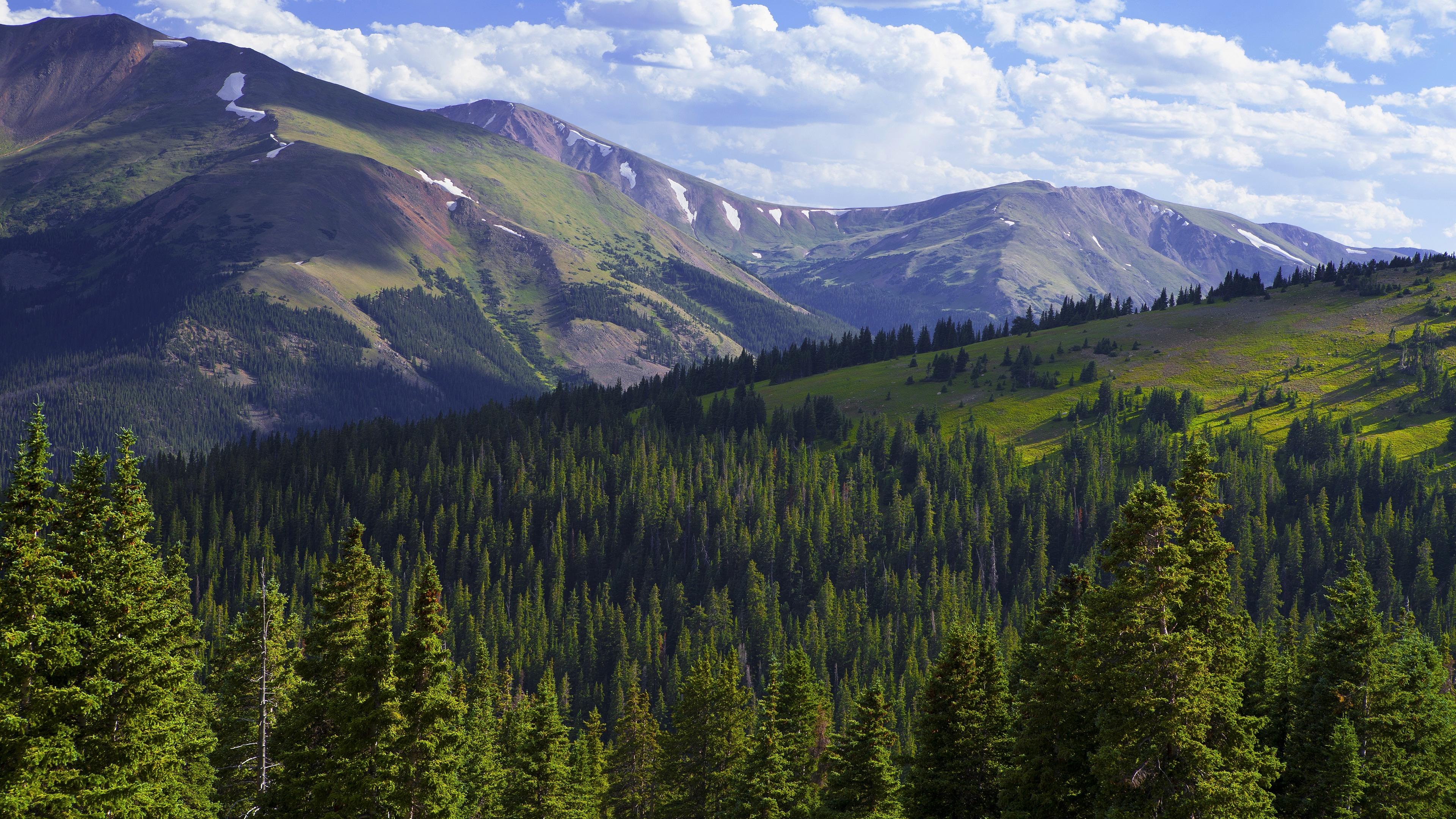 有哪些看起来很有格调的电脑桌面壁纸? - 知乎