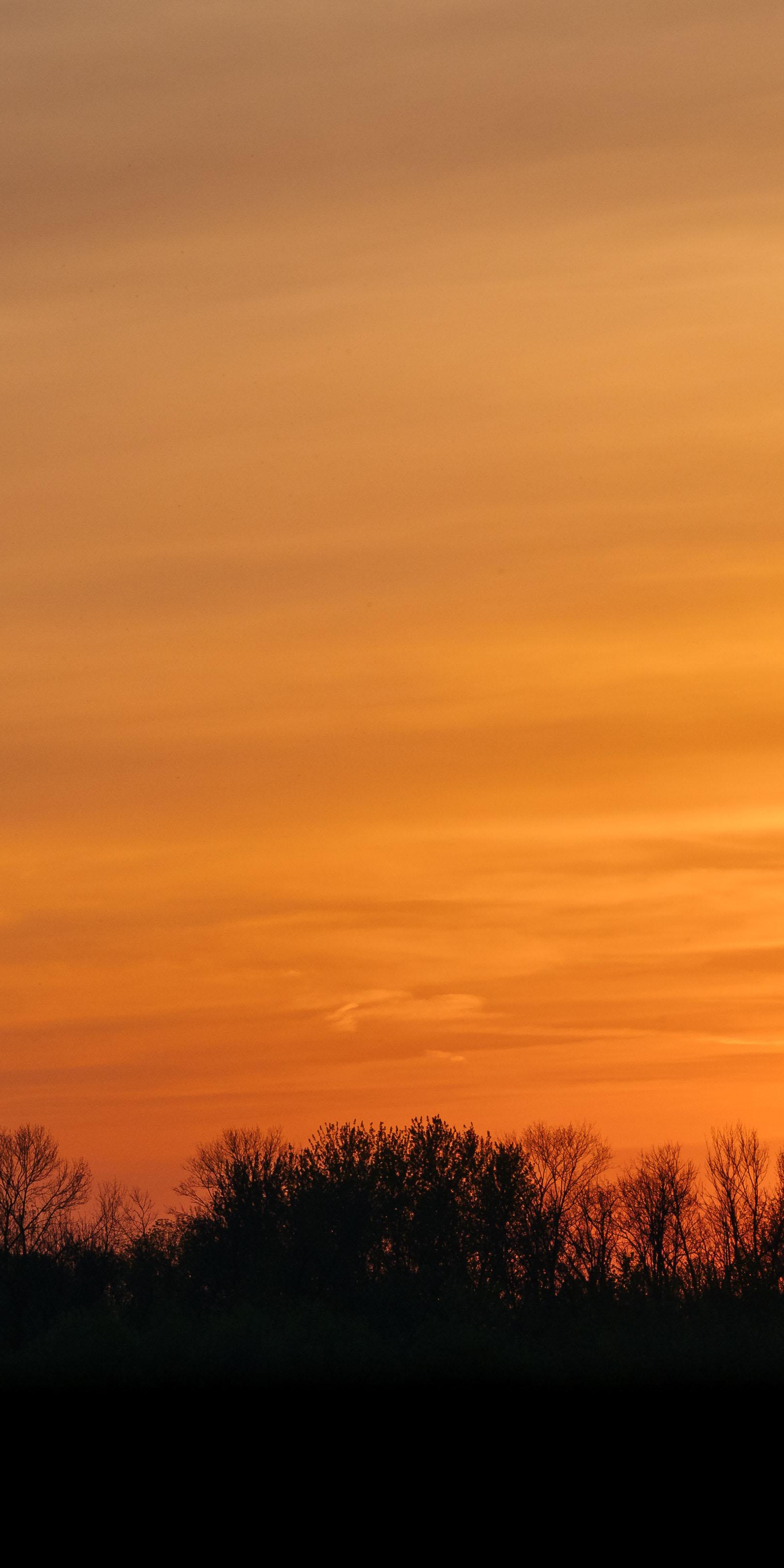 有哪些好看到爆的橙色系壁纸? - 知乎