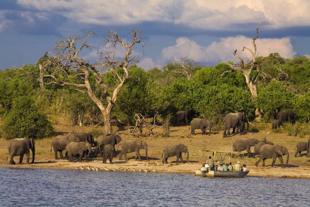 非洲大陆上哪个国家最值得去旅行?
