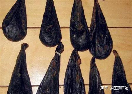 带你识别熊胆- 知乎