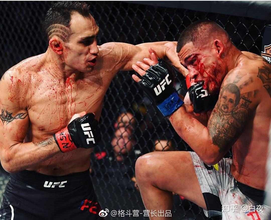 有哪些是现役ufc是值得一看、值得细品的选手? - 知乎
