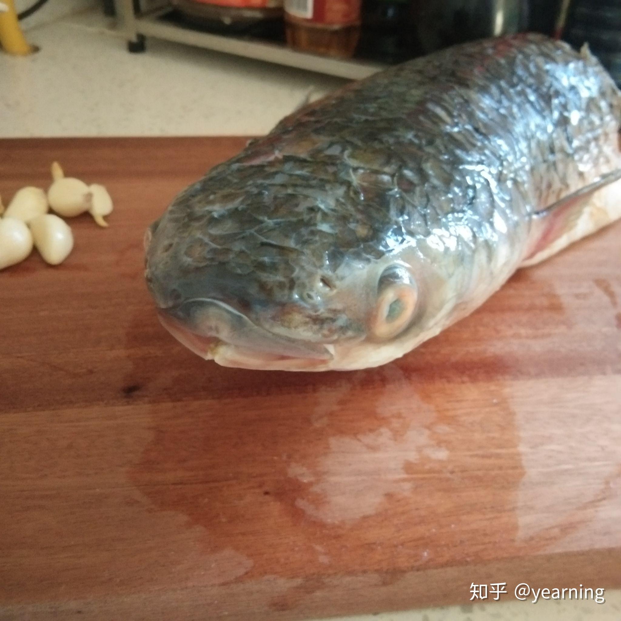 从早市上买的鱼,头扁扁的像蛇头,小贩说是棒棒鱼,但是网上好像又查不