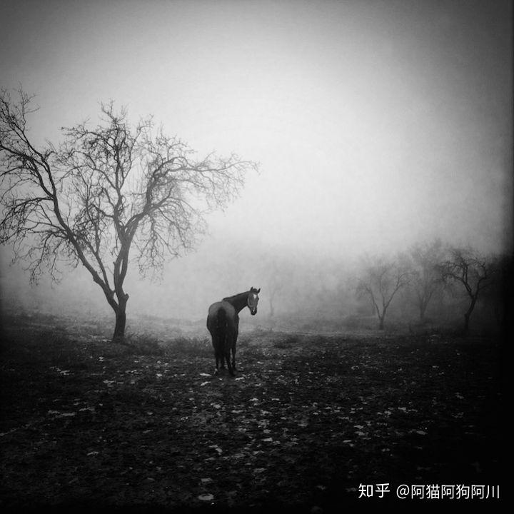 有哪些看起来就很孤独的头像? - 知乎