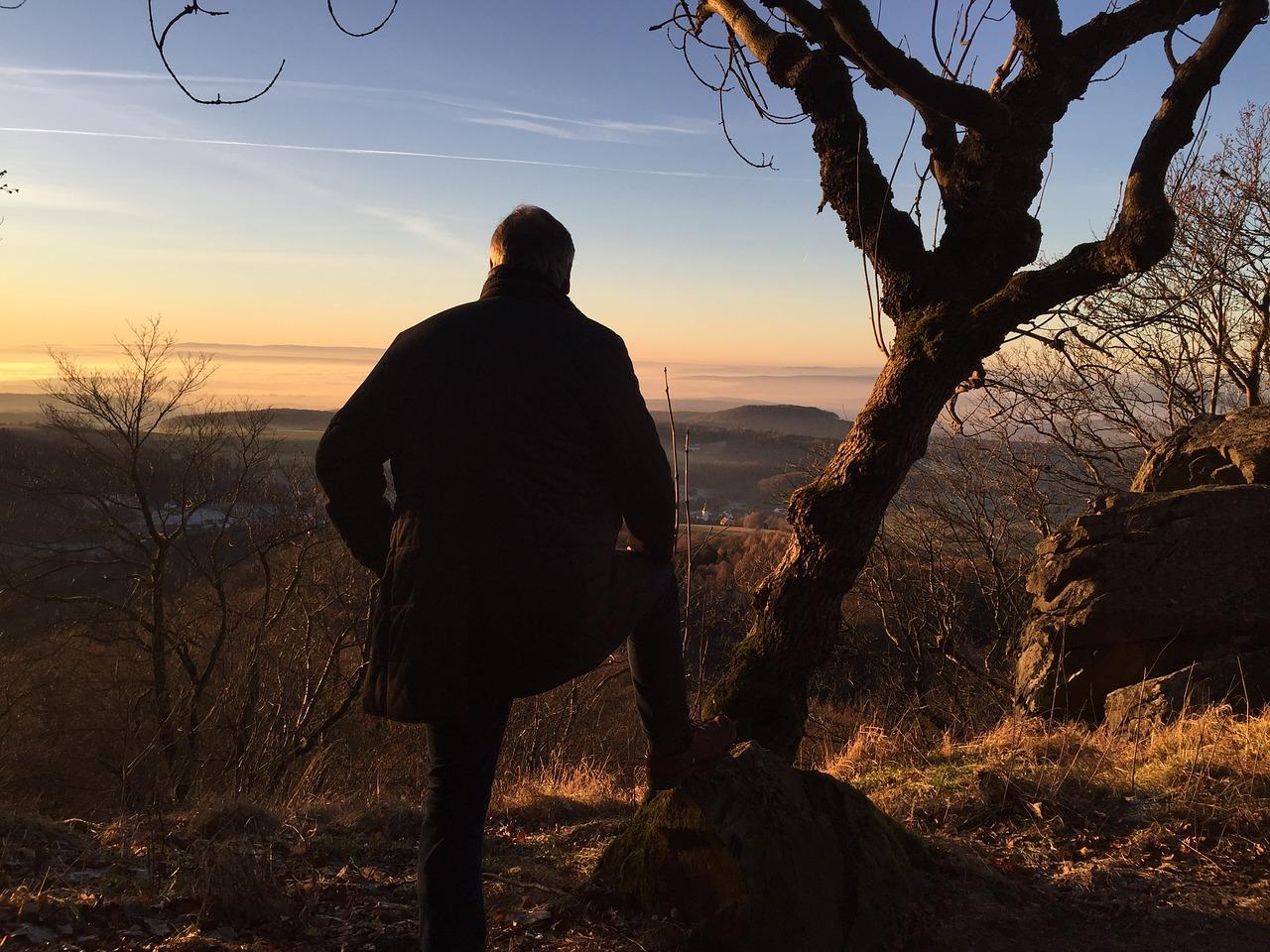 4. 价格走势分析