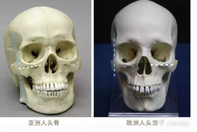 中医智慧如何守护心脑健康？张亚宁医生揭秘
