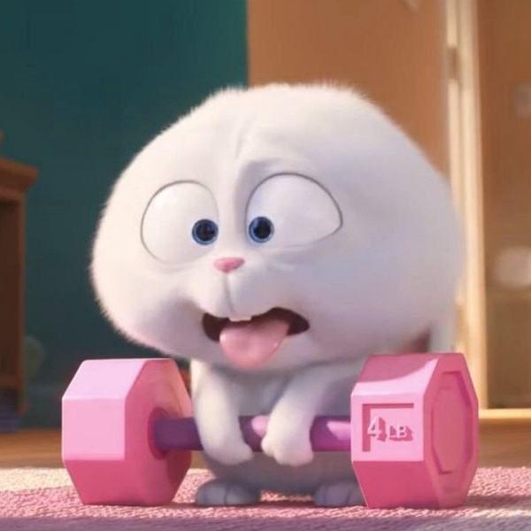 有爱宠大机密里面兔老大好看的头像吗