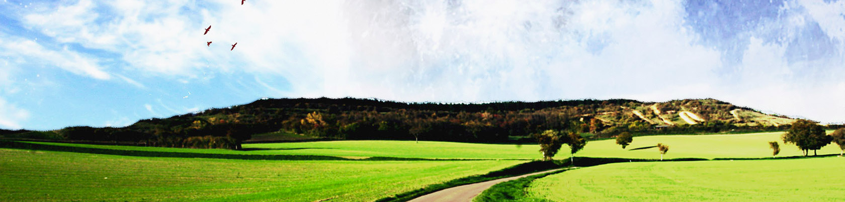 Zhihu banner for @procedure