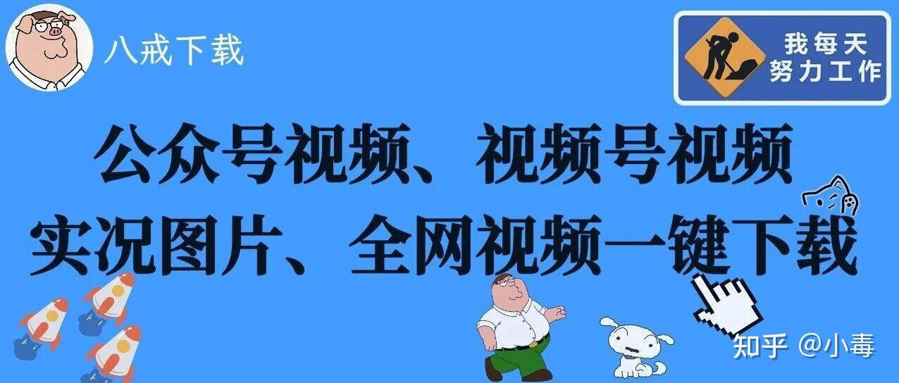 公众号视频、实况图片、视频号视频、全网视频一键下载