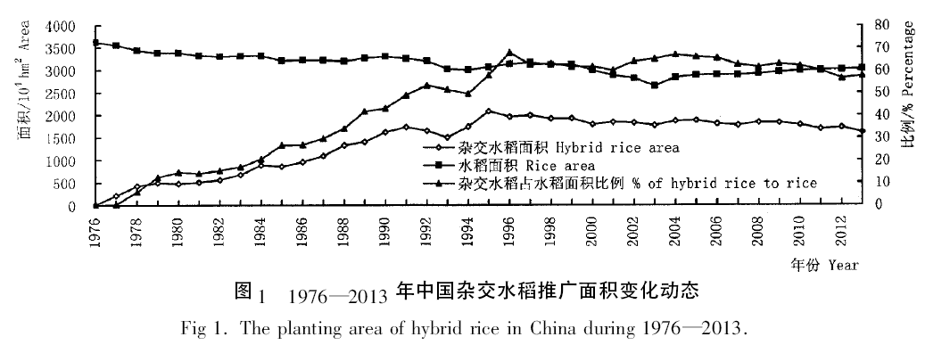 杂交水稻和常规水稻种植面积分别多少平均单位面积产量分别是多少