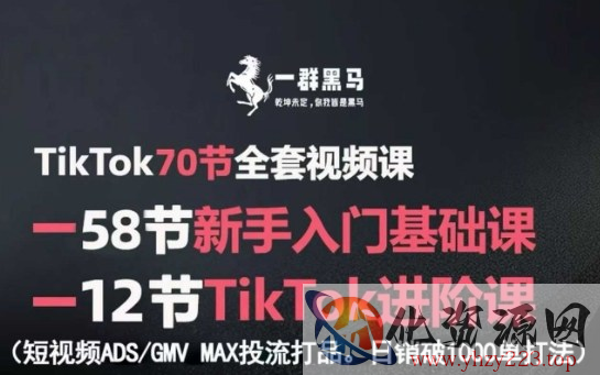 TikTok全套视频课，新手入门+进阶课，短视频ADS-GMV MAX投流打品，日销破1000单打法
