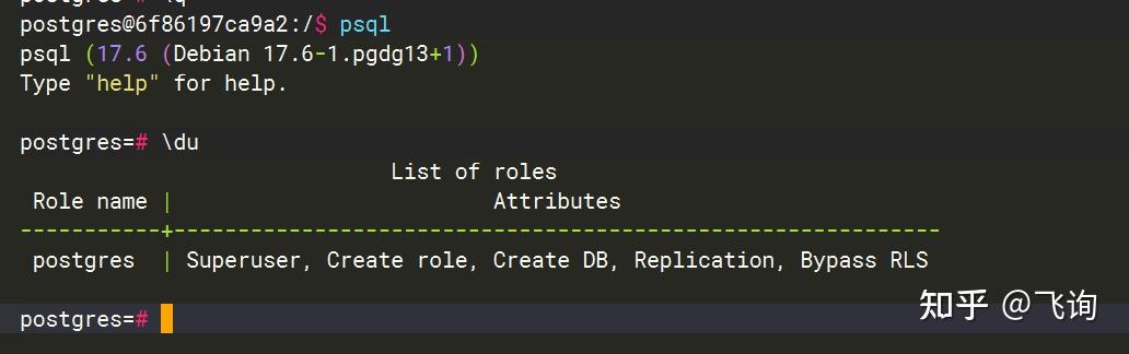 docker 安装 Postgres 17.6 - 知乎