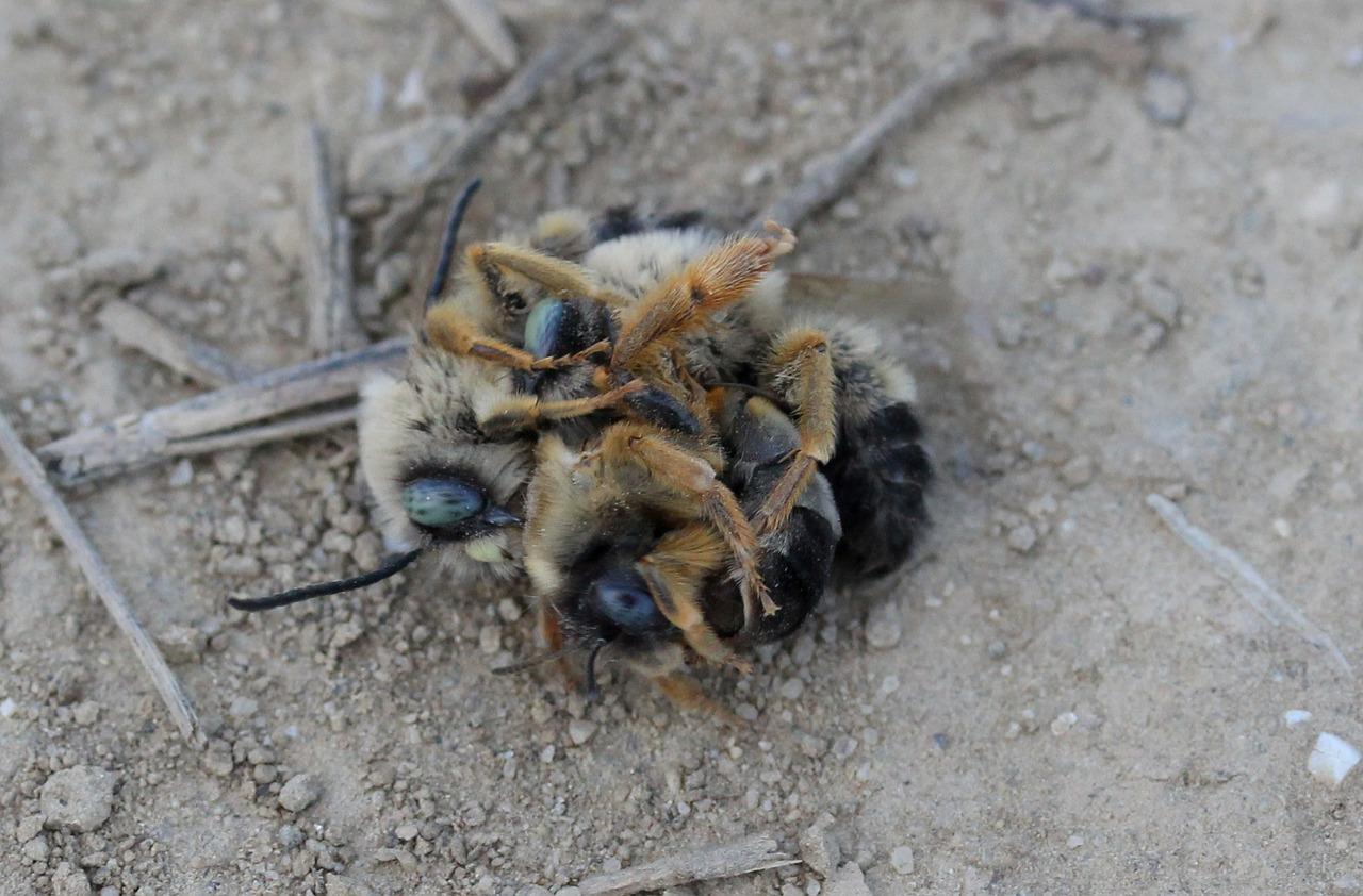 默默奉献的力量