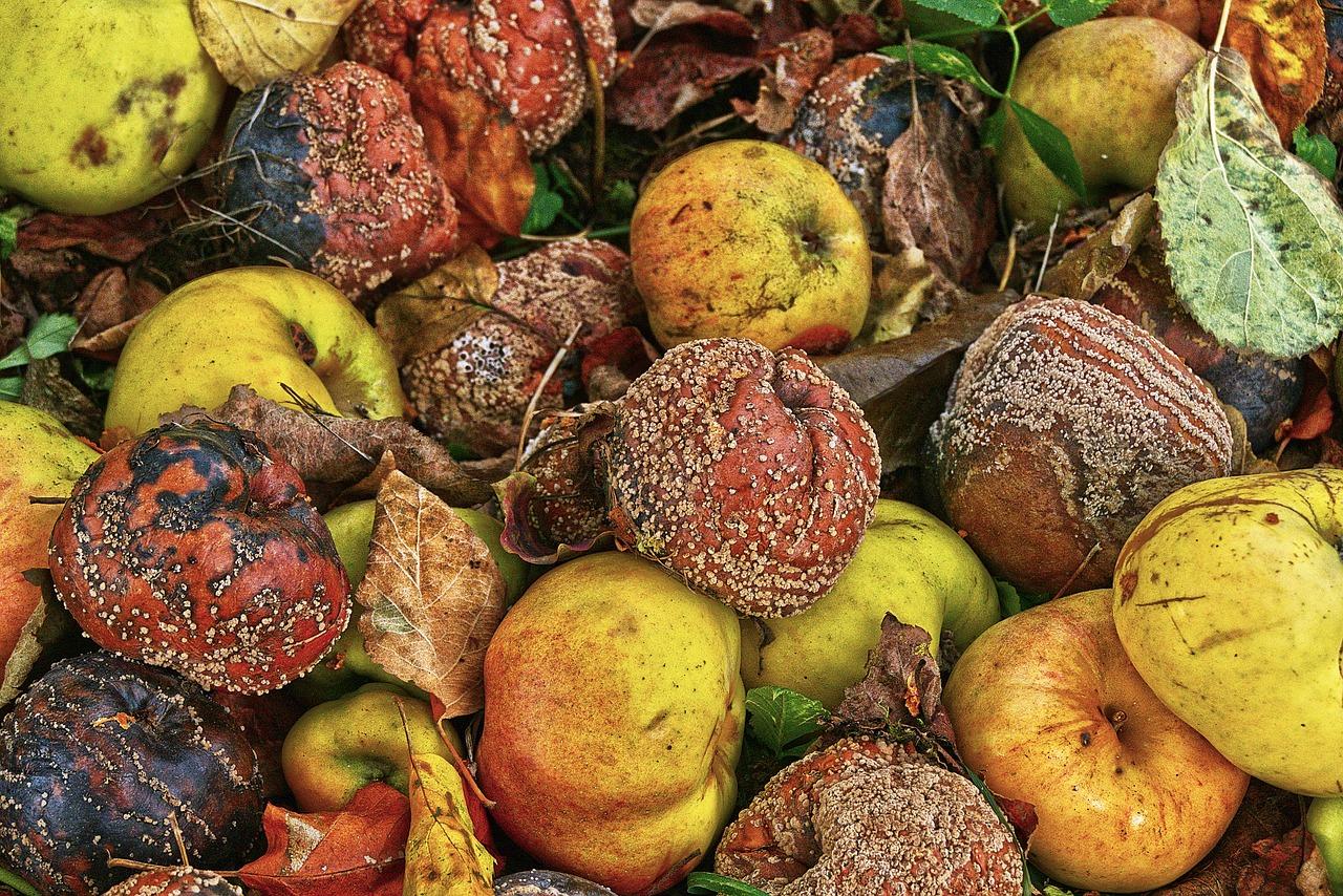 2. 防霉涂料推荐