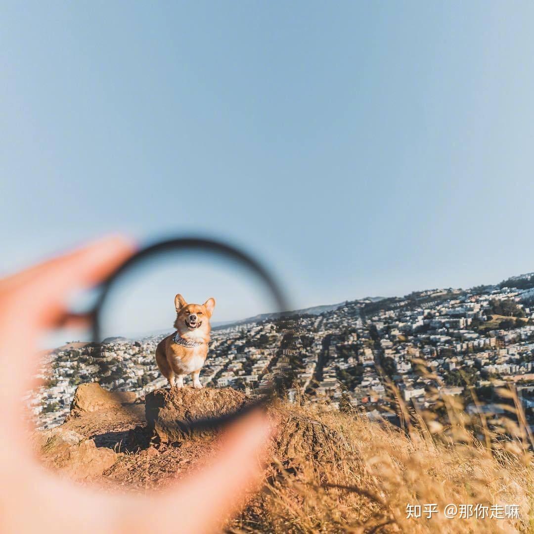 你用过哪些有趣或有意义的微信朋友圈背景图