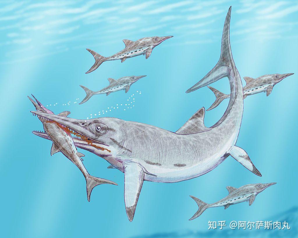 「Prehistoric Park丨史前公园 4」远去的深蓝魅影—鱼龙兴衰简史 - 知乎