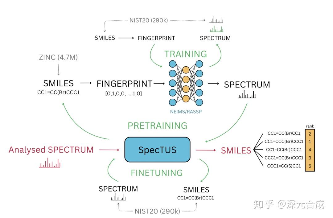SpecTUS 气相色谱翻译器：通过Ai推测未知化合物 - 知乎