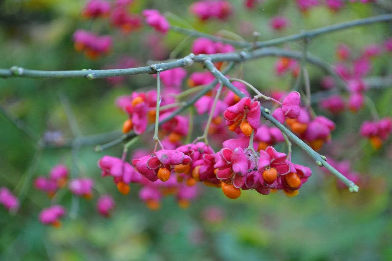 2. 分枝时间点把握