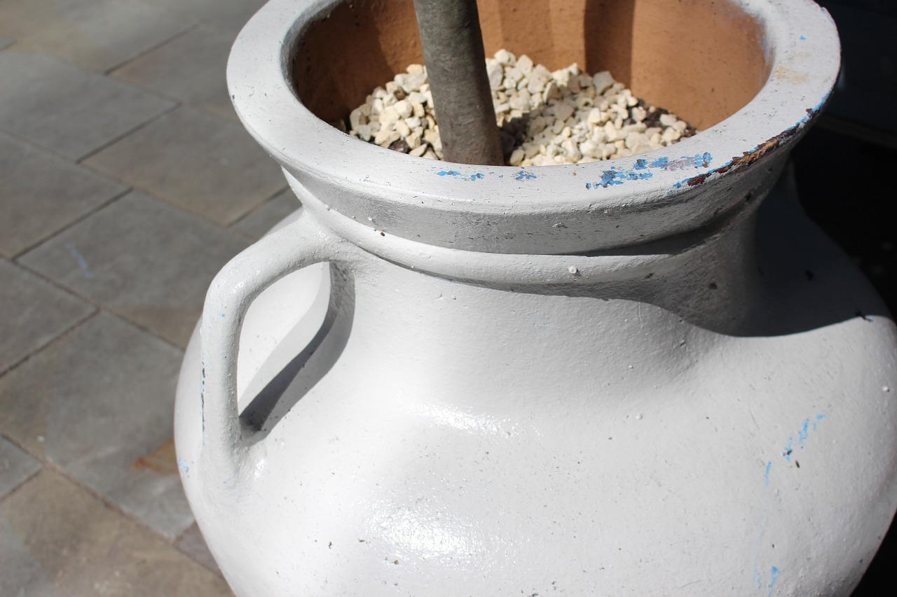 客厅大花瓶里放什么好