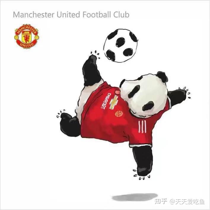 有和这个一类的曼联头像图片吗?