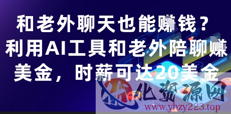 和老外聊天也能挣钱？利用AI工具和老外陪聊挣美金，时薪可达20刀