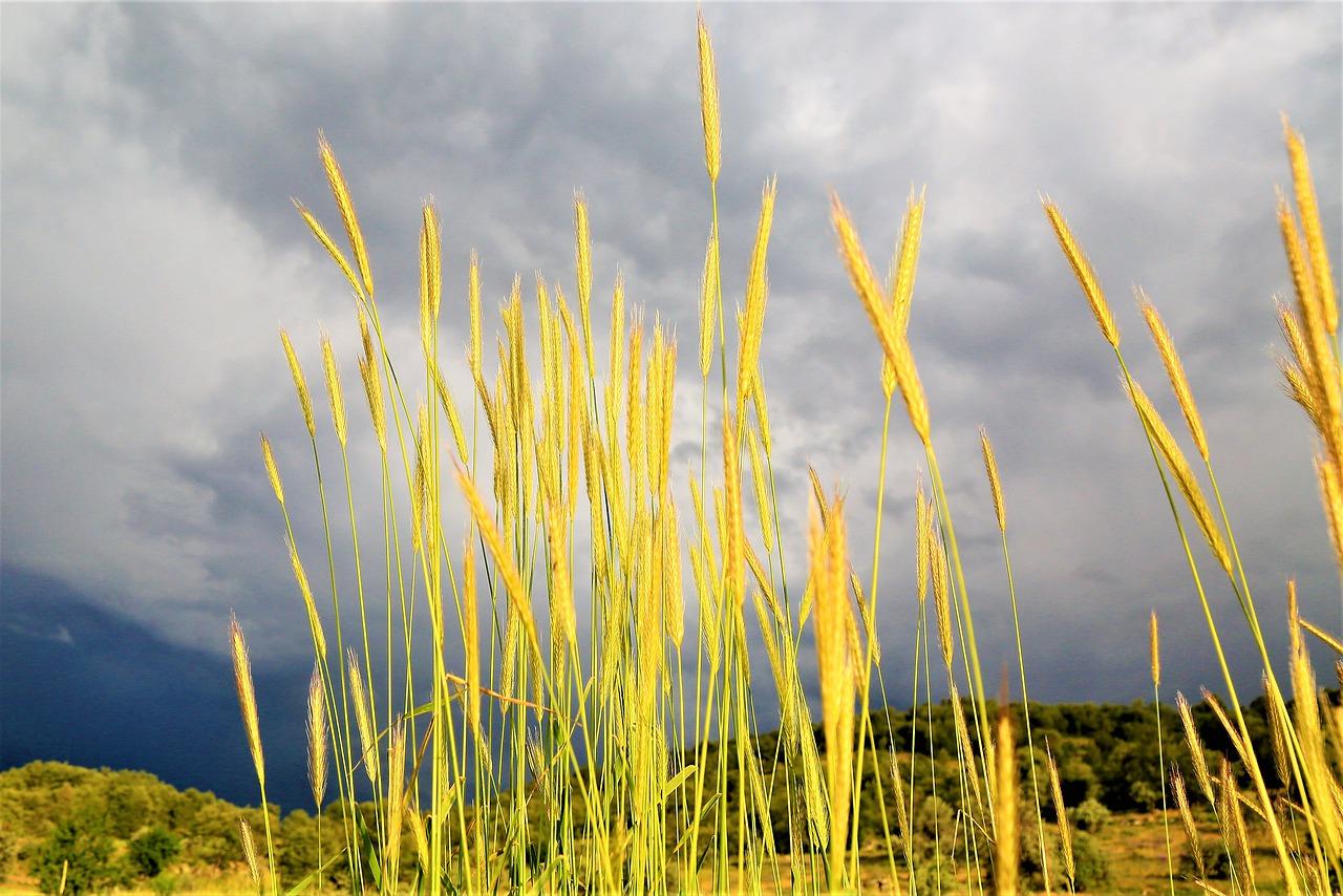 农村土地政策解读