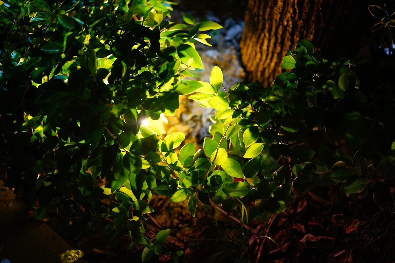 如何均匀室内灯光