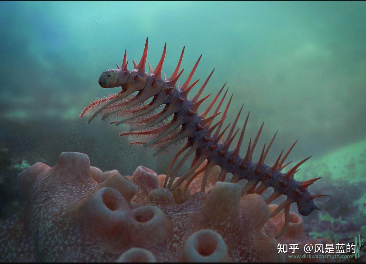 叶足动物门 Lobopodia的梳理 - 知乎