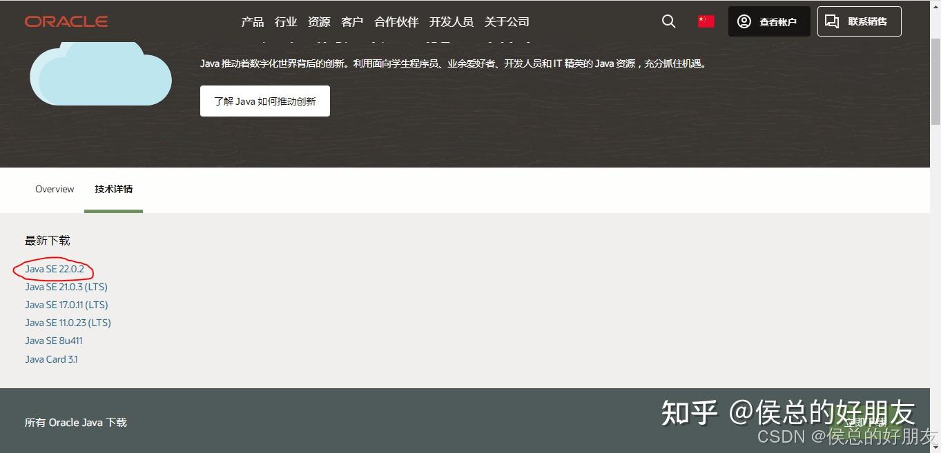 [Minecraft]MC Java版详细安装教程+踩坑经验 - 知乎
