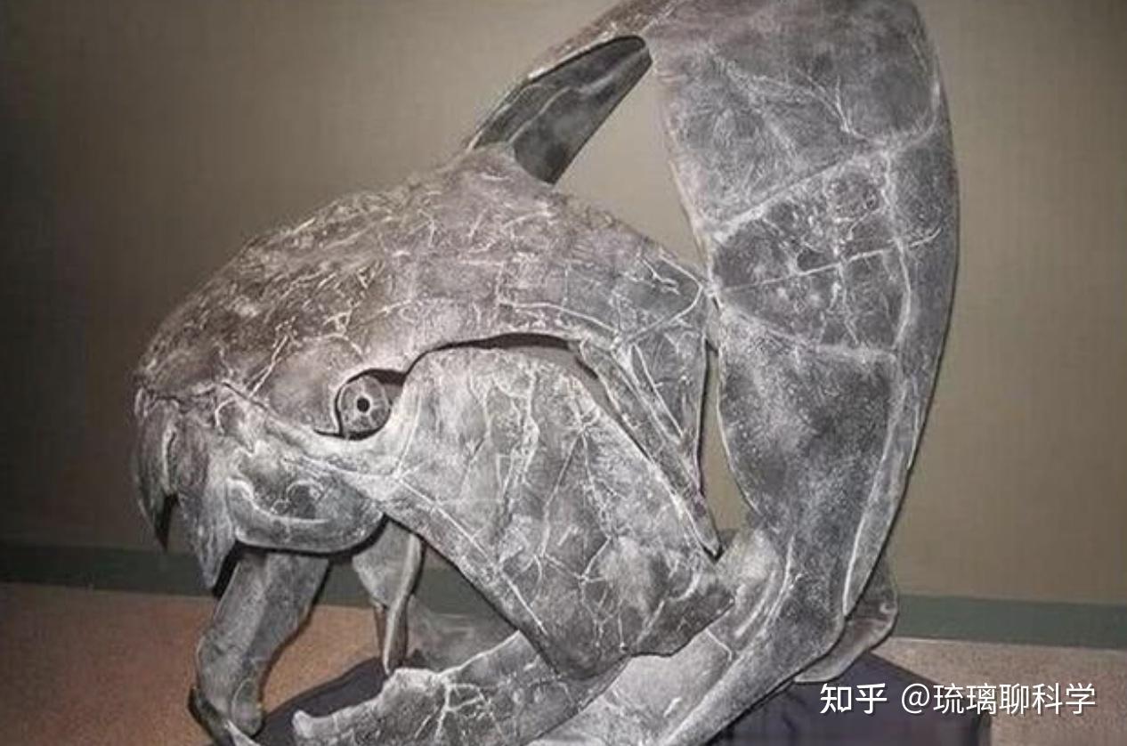 古生代泥盆纪时期的邓氏鱼好吃吗？ - 知乎