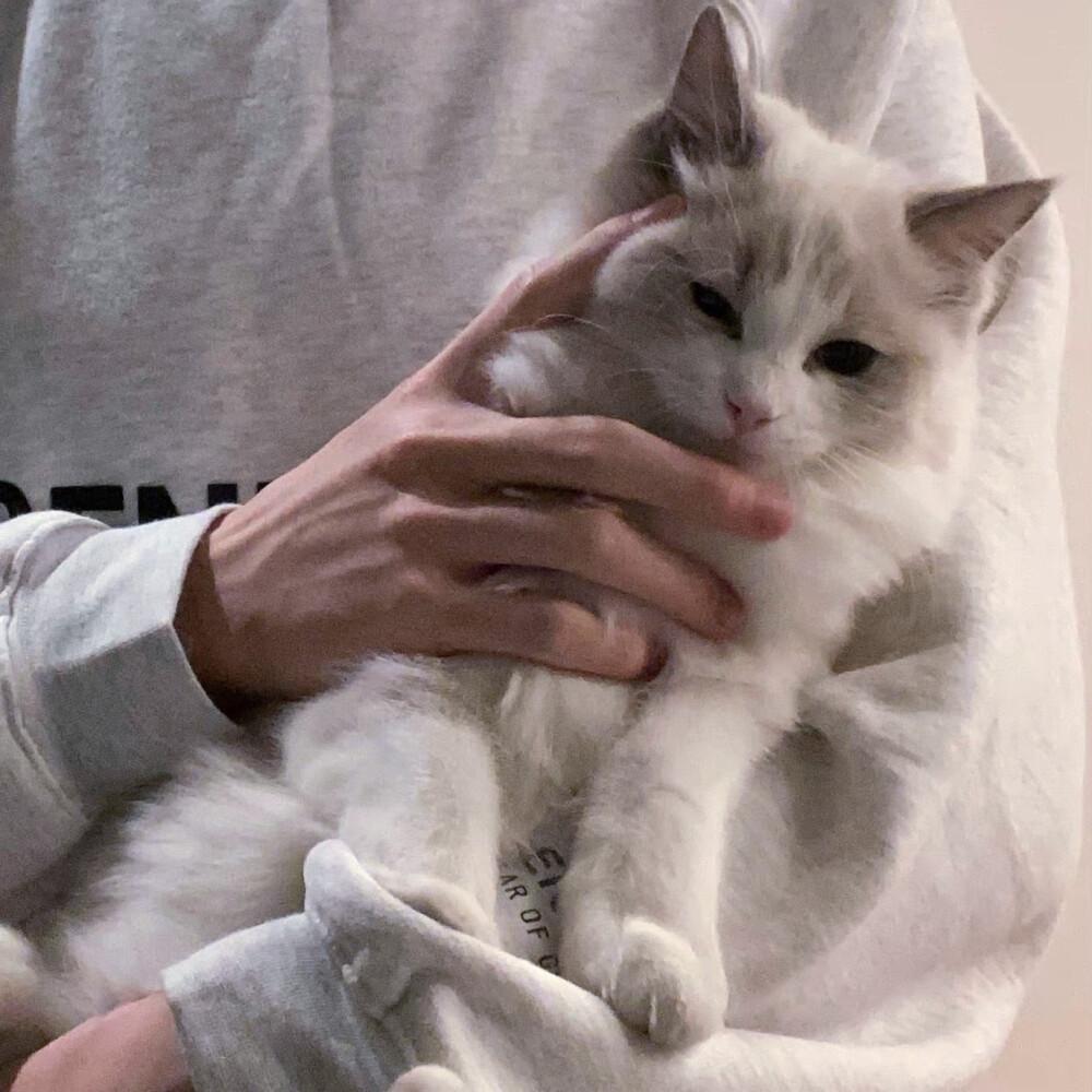 有没有很惊艳的男生头像? - 知乎