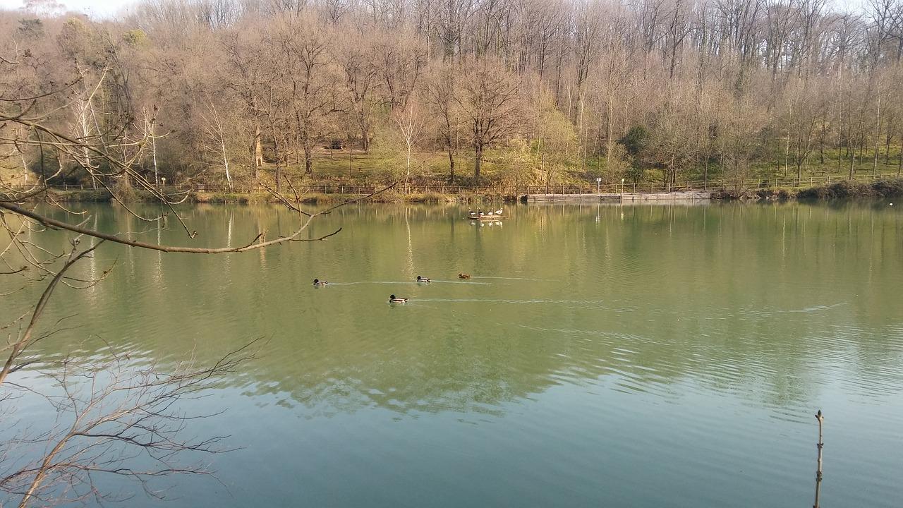 千岛湖碧水花园在哪里