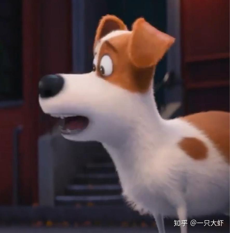 求爱宠大机密小白狗啾啾的头像