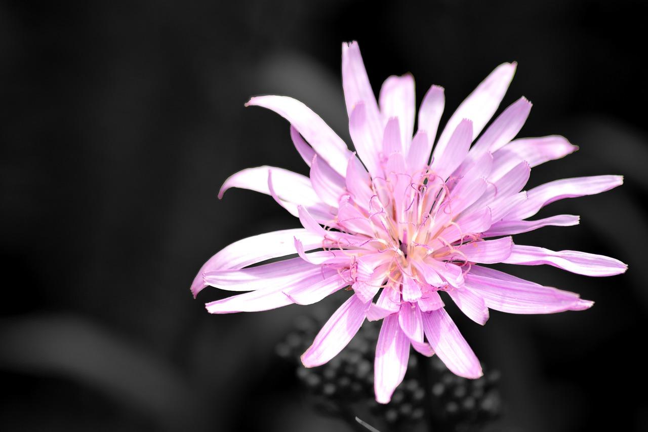 2. 金属漆成本揭秘