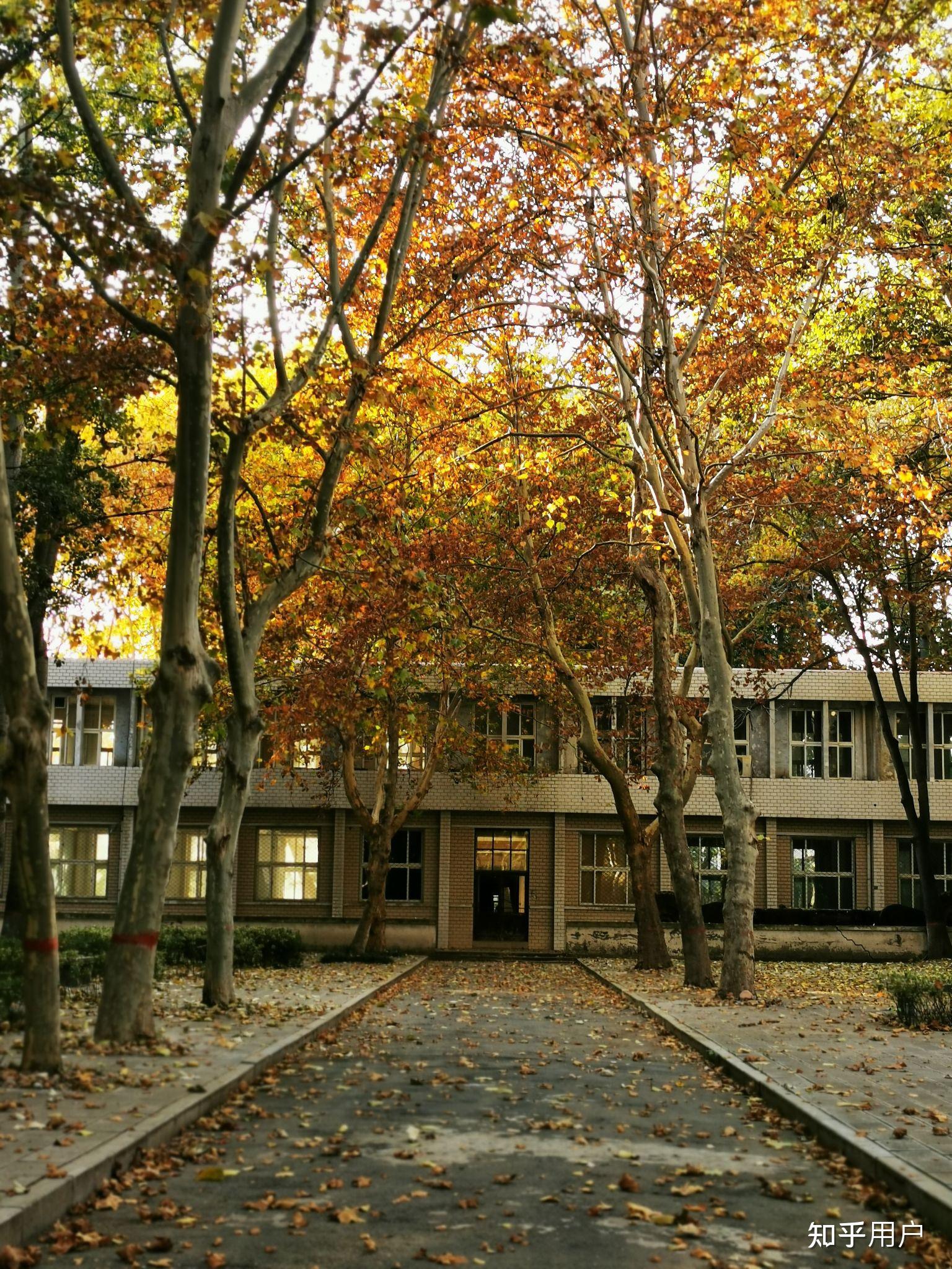 邯郸学院风景图片