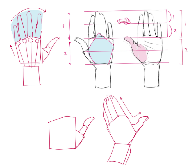 绘画初学者如何正确画手?教你基础的手部手势绘制思路! - 知乎