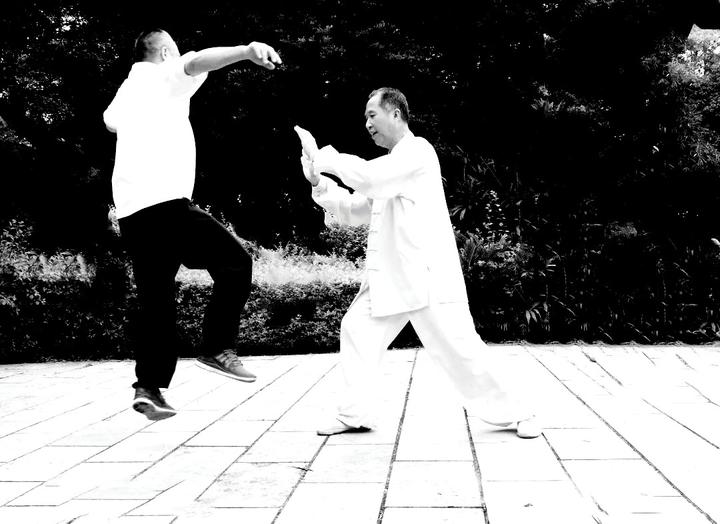 大师孙禄堂之——大师是在打造武术的理想国,或只是武艺的乌托邦 - 知乎