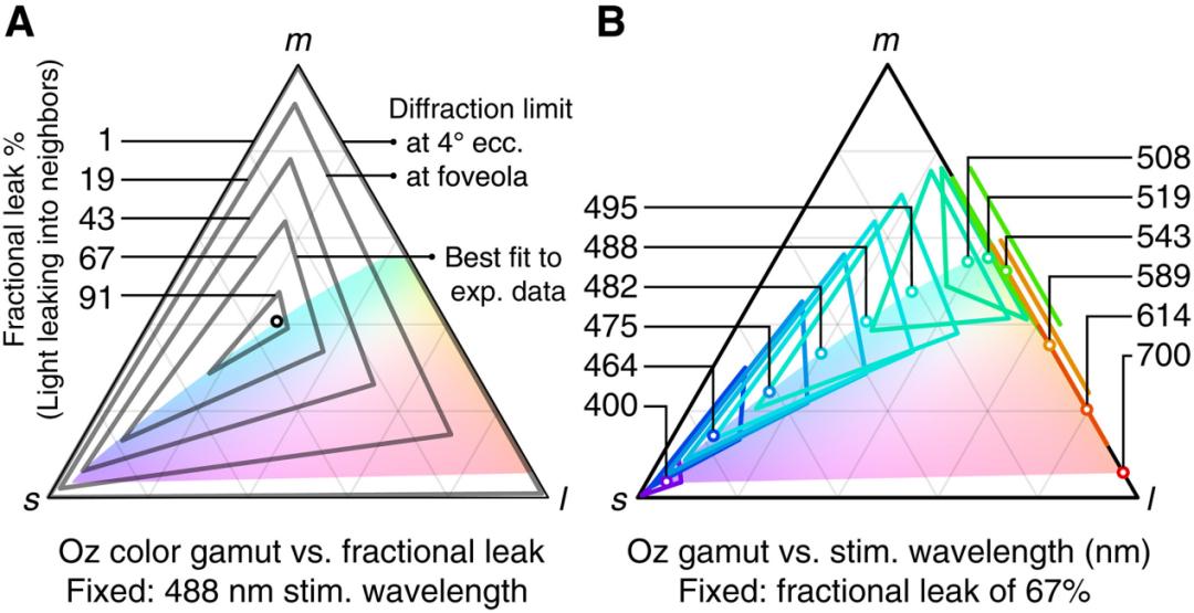 让先天色盲患者感受红色和绿色，科学家用激光“欺骗”视神经并创建全新