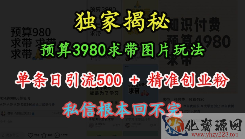 预算3980求带 图片玩法，单条日引流500+精准创业粉，私信根本回不完