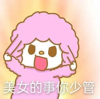 表情包美女的事你少管