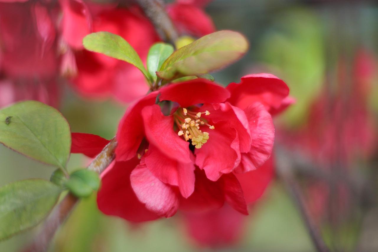 2. 喷绘成本分析