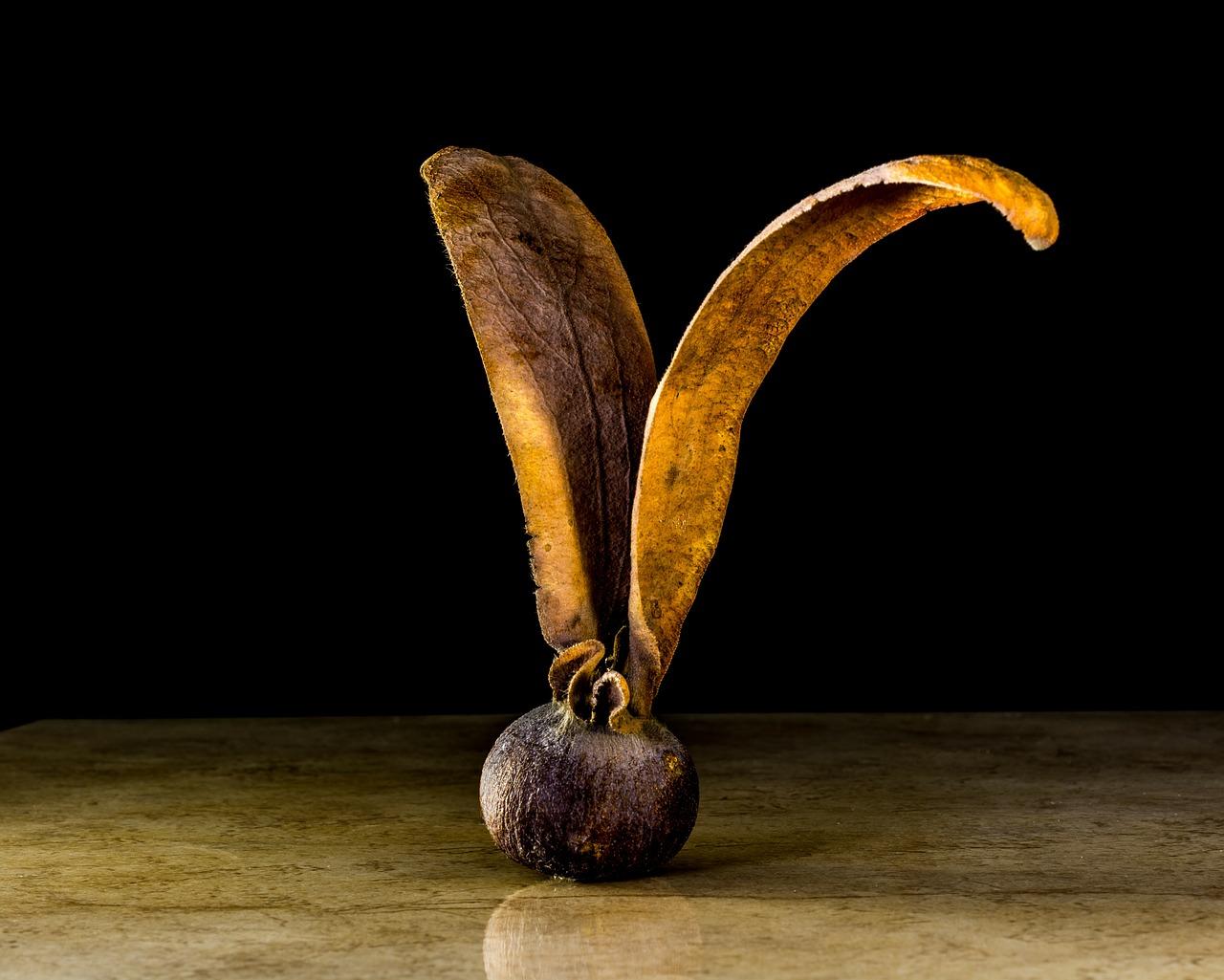 3. 房产价值分析