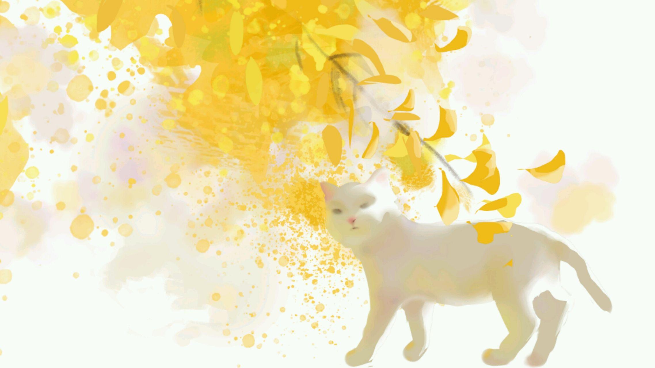 有什么小清新的微信头像