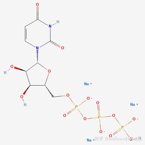 尿苷-5'-三磷酸[UTP]三钠盐；P2Y受体激动剂 - 知乎