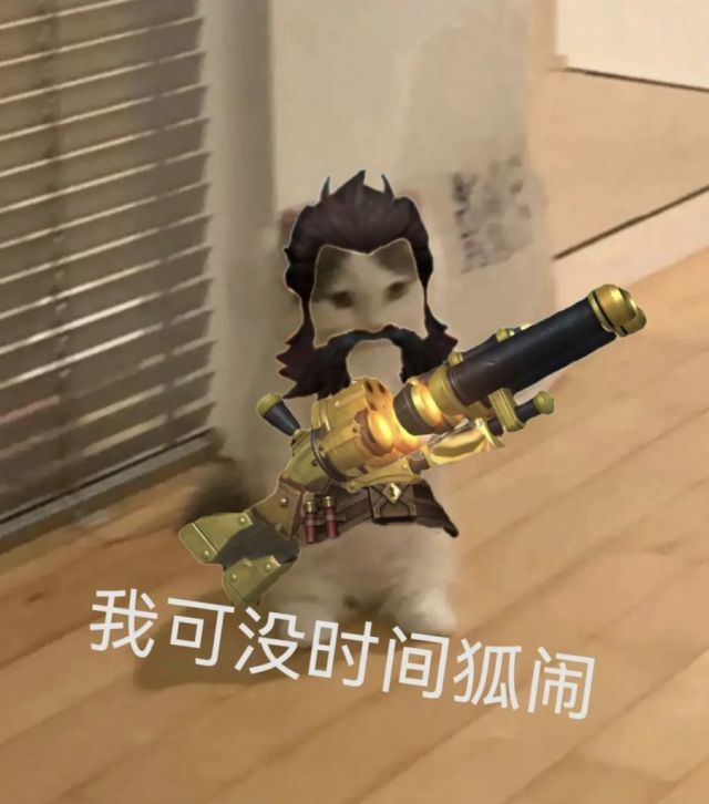 你都有哪些英雄联盟魔法猫咪的表情包