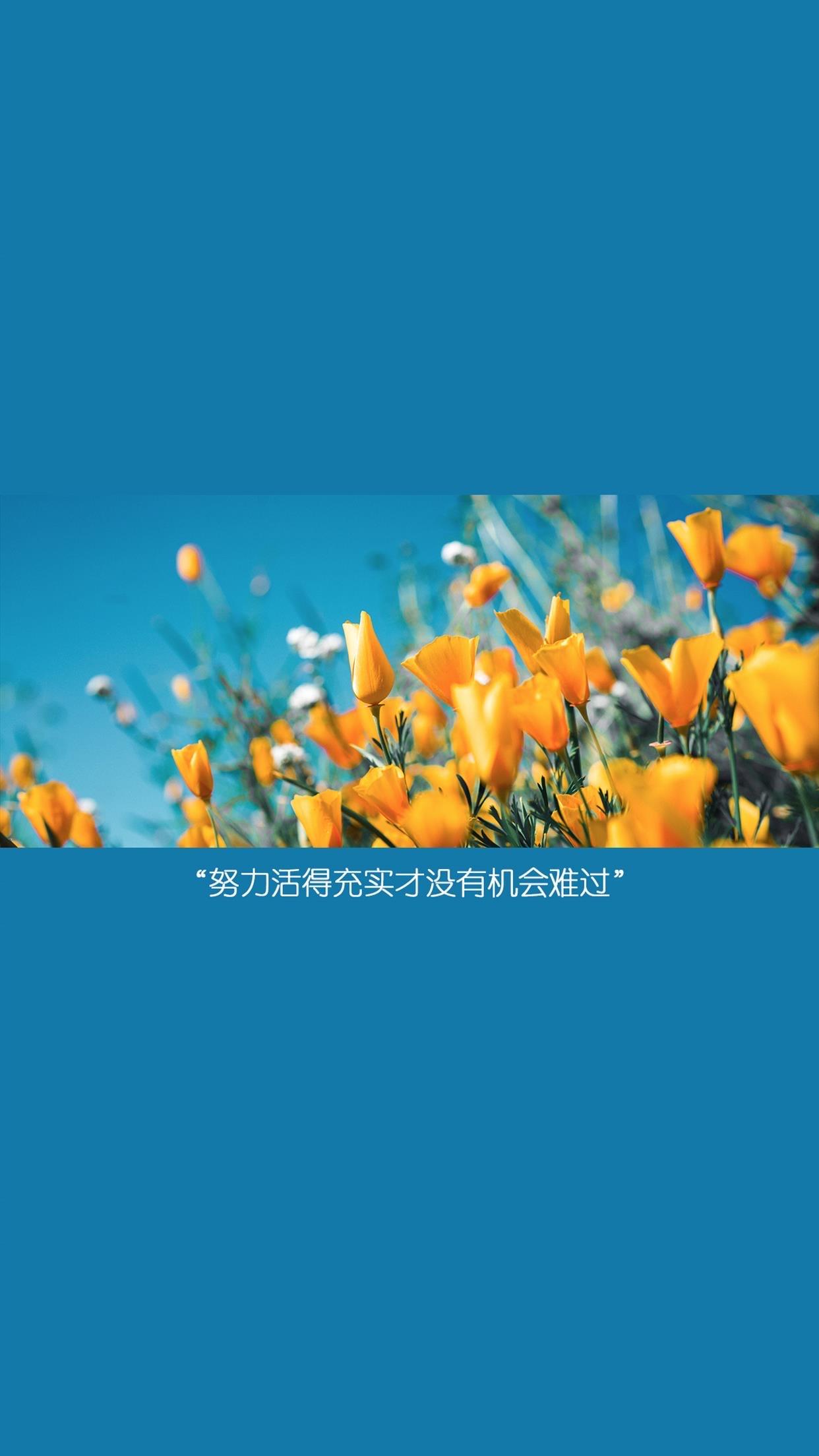 那些可以平复心情的壁纸