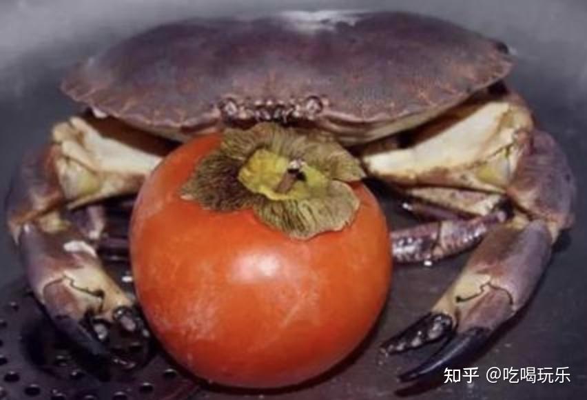 螃蟹和什么不能一起吃? 知乎